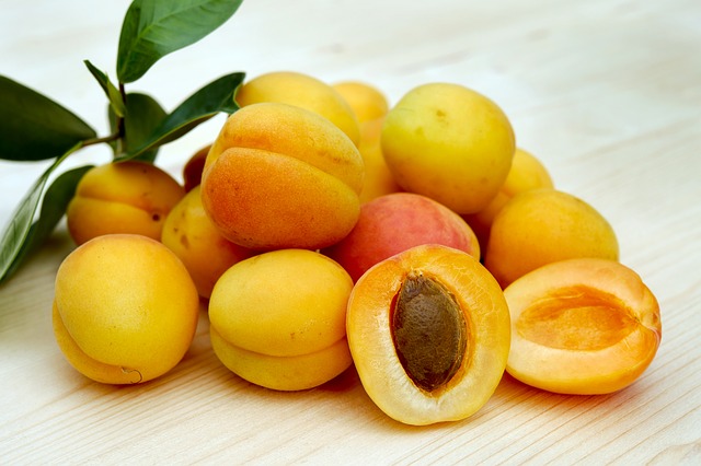 apricots safe for sugar gliders to eat