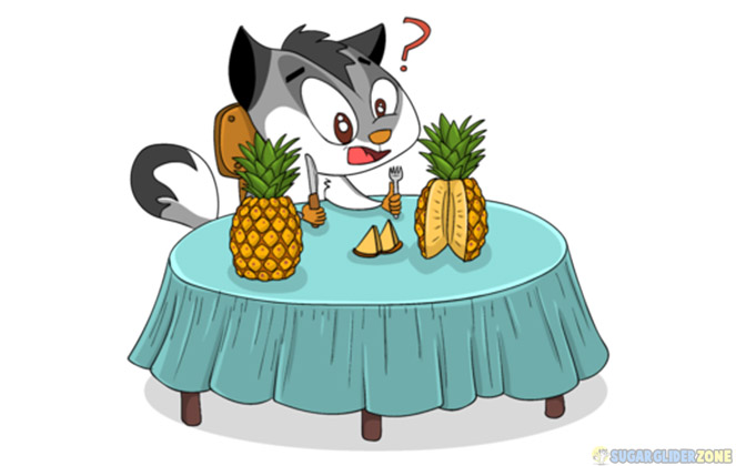 is pineapples safe for sugar gliders