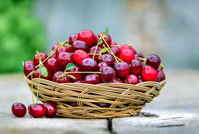 are cherries healthy for sugar gliders to eat